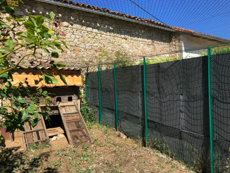 Capture décran 2020 09 12 à 16.18.45 Dordogne : un coq a disparu après avoir été accusé de chanter trop fort