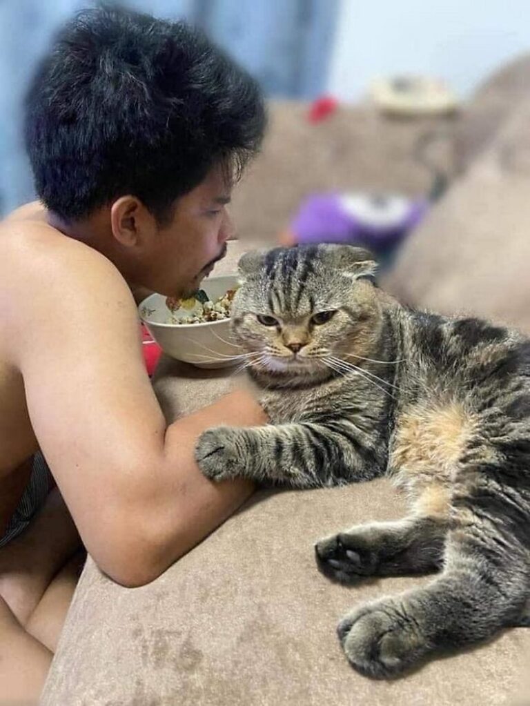 chat vole mari nasrin hami 028