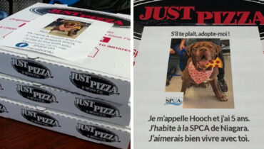 Cette pizzeria a trouvé un moyen magnifique pour inciter les gens à adopter les chiens d’un refuge local