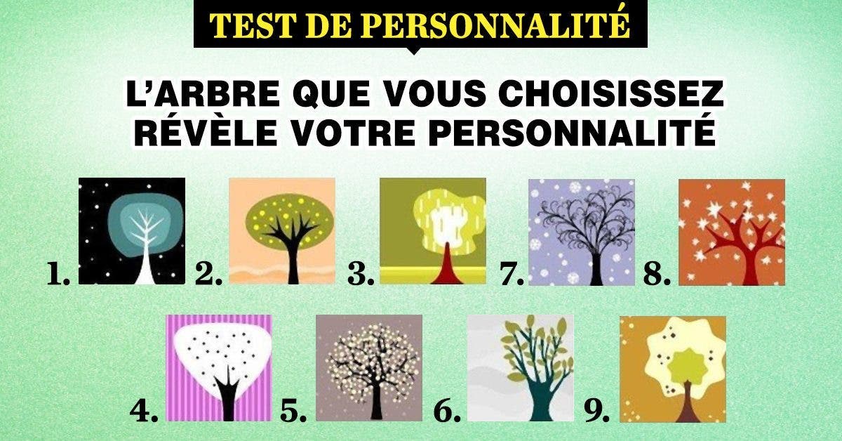 Larbre que votre choix revele votre personnalite 1 1 1 Choisissez un arbre et découvrez des traits cachés de votre personnalité !