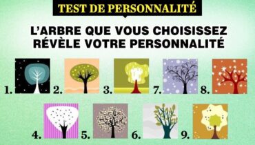 Choisissez un arbre et découvrez des traits cachés de votre personnalité !