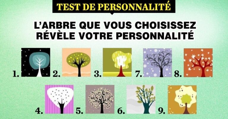 Larbre que votre choix revele votre personnalite 1 1