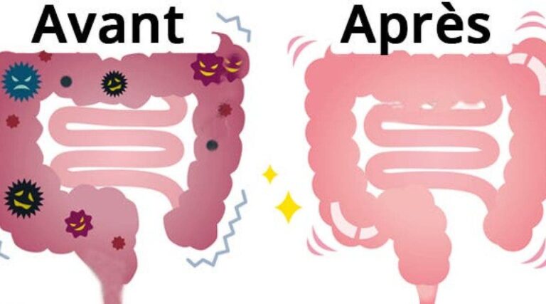 Voici comment degonfler votre ventre et nettoyer le colon 1 1200x667 1