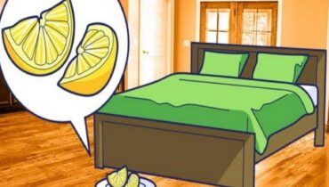 Pourquoi faut-il garder une tranche de citron à côté de son lit ?