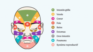 Dites-nous quelle zone de votre visage est acnéique, on vous dira de quelle maladie vous souffrez !
