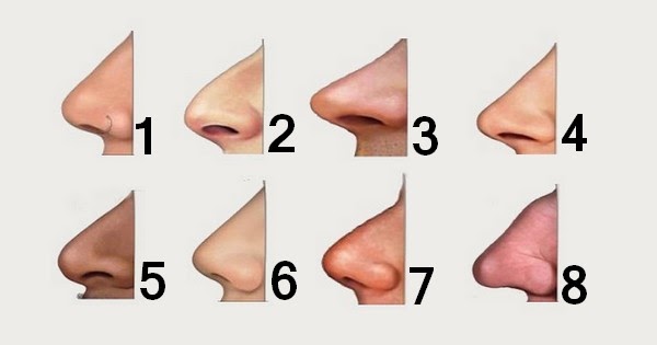 nez 4 La forme de votre nez peut en dire long sur votre personnalité…