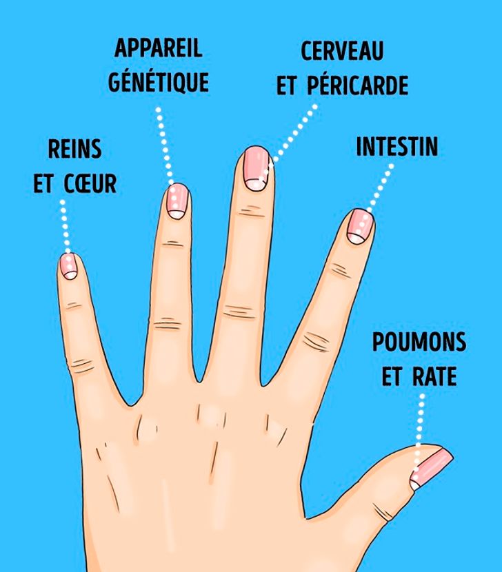 lunules de vos ongles1 6 Problèmes de santé que les lunules de vos ongles peuvent vous signaler