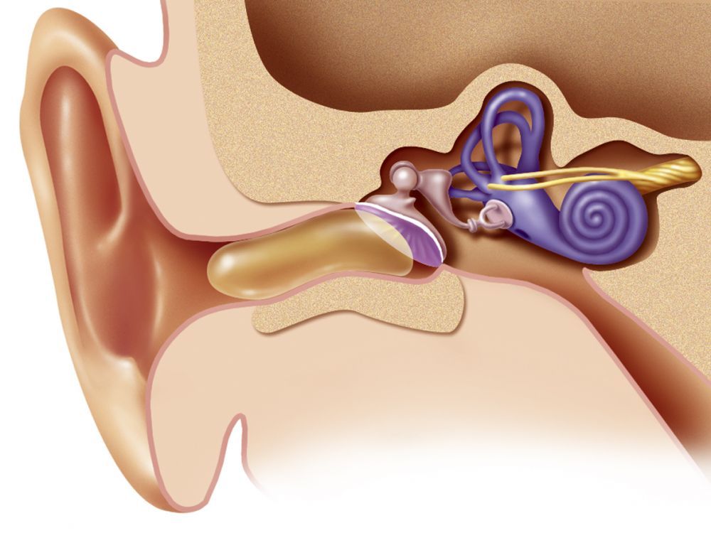 Ce que vous devez savoir sur le cerumen et comment nettoyer vos oreilles en toute securite Ce que vous devez savoir sur le cérumen et comment nettoyer vos oreilles en toute sécurité