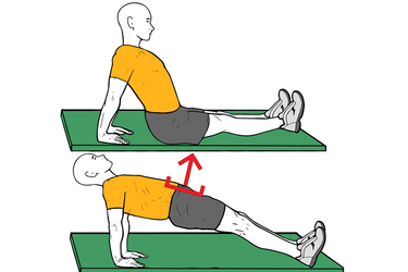 reverse plank 1 Un exercice pour éliminer les graisses et améliorer la posture en un rien de temps