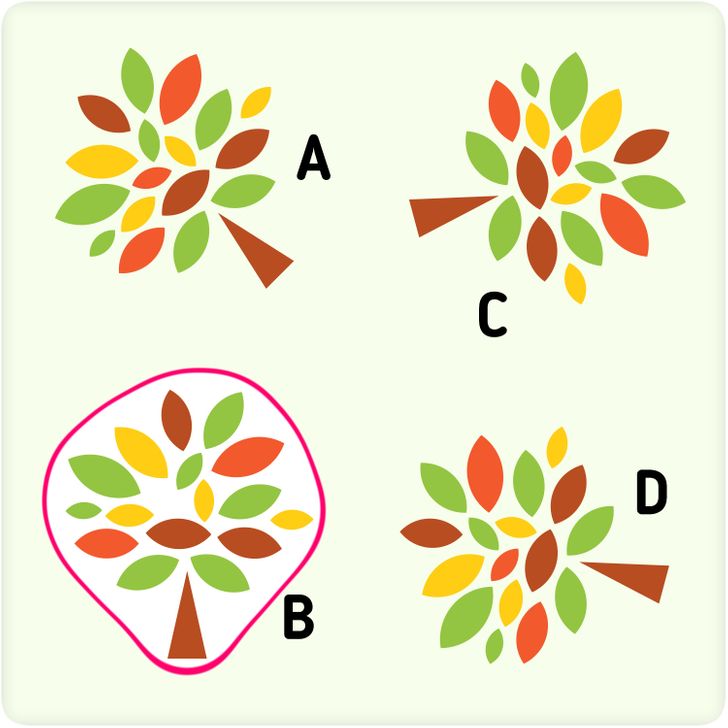 Essayez de trouver lintrus en moins de 10 secondes 23 Test : Essayez de trouver l'intrus en moins de 10 secondes