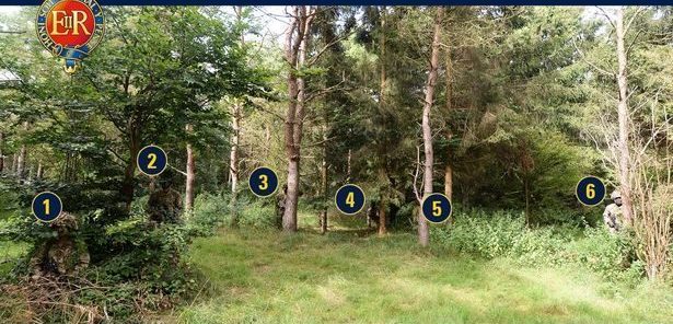 Pouvez vous reperer les 6 soldats dissimules dans cette foret 2 e1630877291393 Pouvez-vous repérer les 6 soldats dissimulés dans cette forêt ?