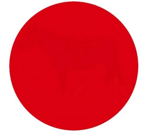 Pouvez vous voir la silhouette cachee dans ce rond rouge 1 Pouvez-vous voir la silhouette cachée dans ce rond rouge?