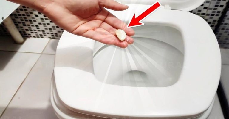 l'ail pour nettoyer les toilettes