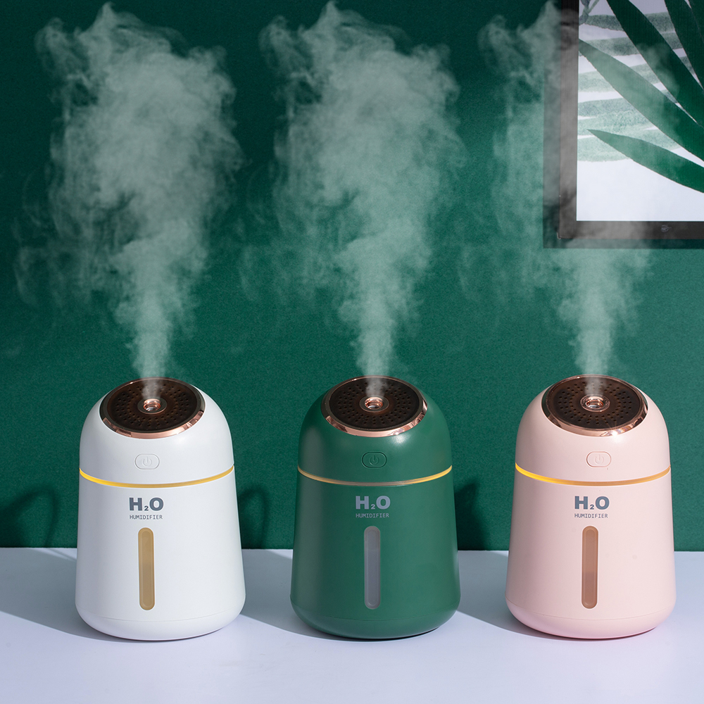 Comment un humidificateur peut redonner vie a votre maison 3 Comment un humidificateur d'air peut redonner vie à votre maison ?