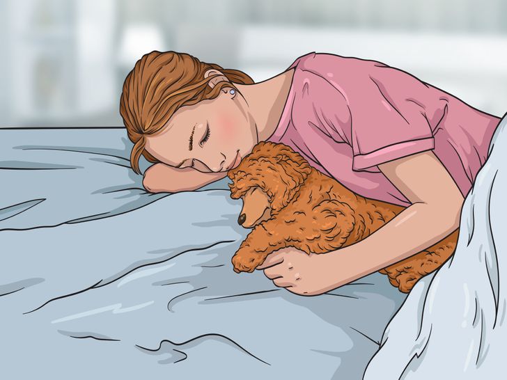Effets néfastes de dormir avec vos animaux de compagnie