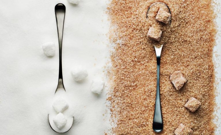 sucre blanc ou sucre de canne roux