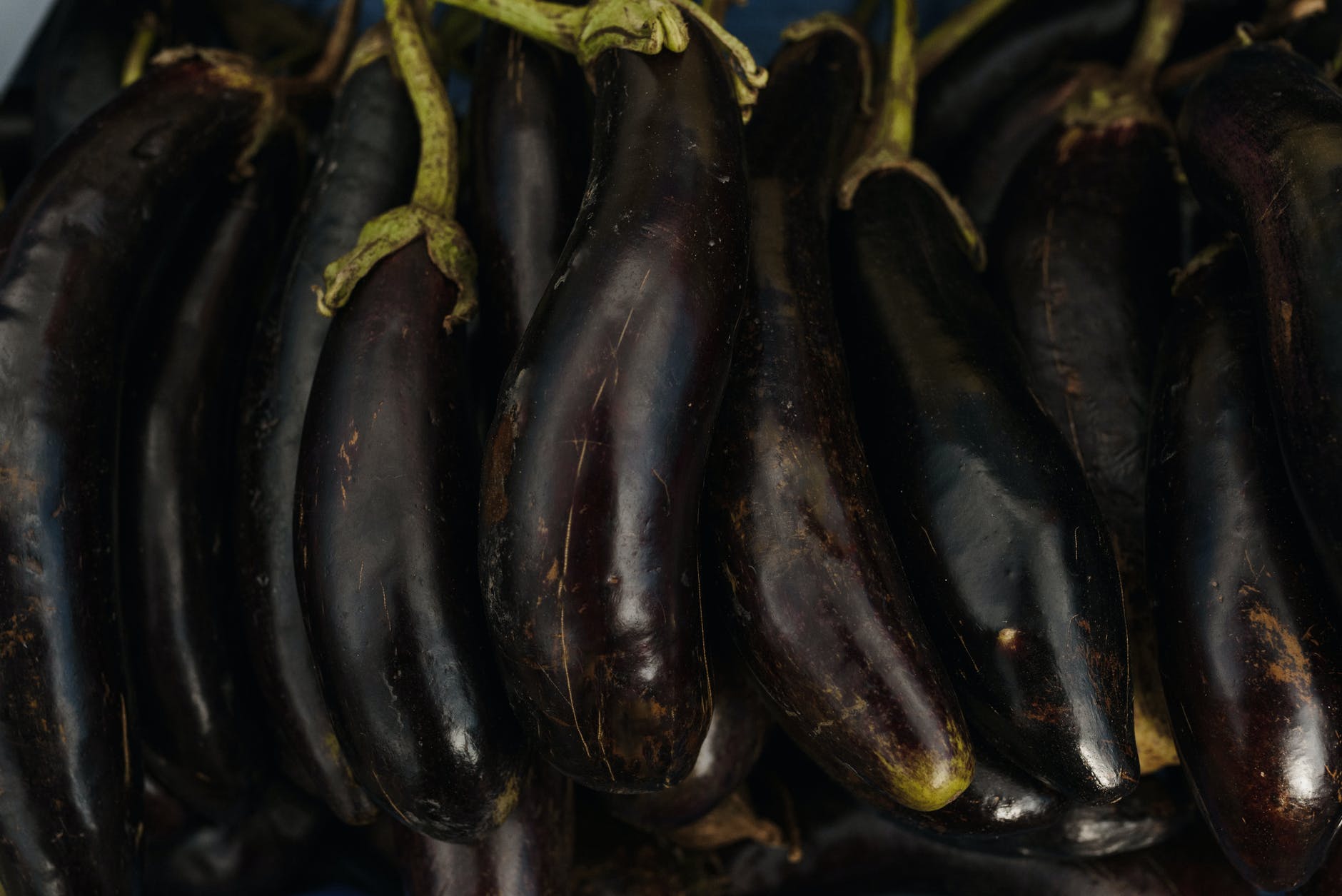 Les aubergines