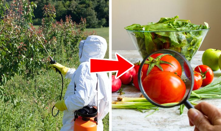 Les tomates non biologiques présentent un niveau élevé de résidus de pesticides