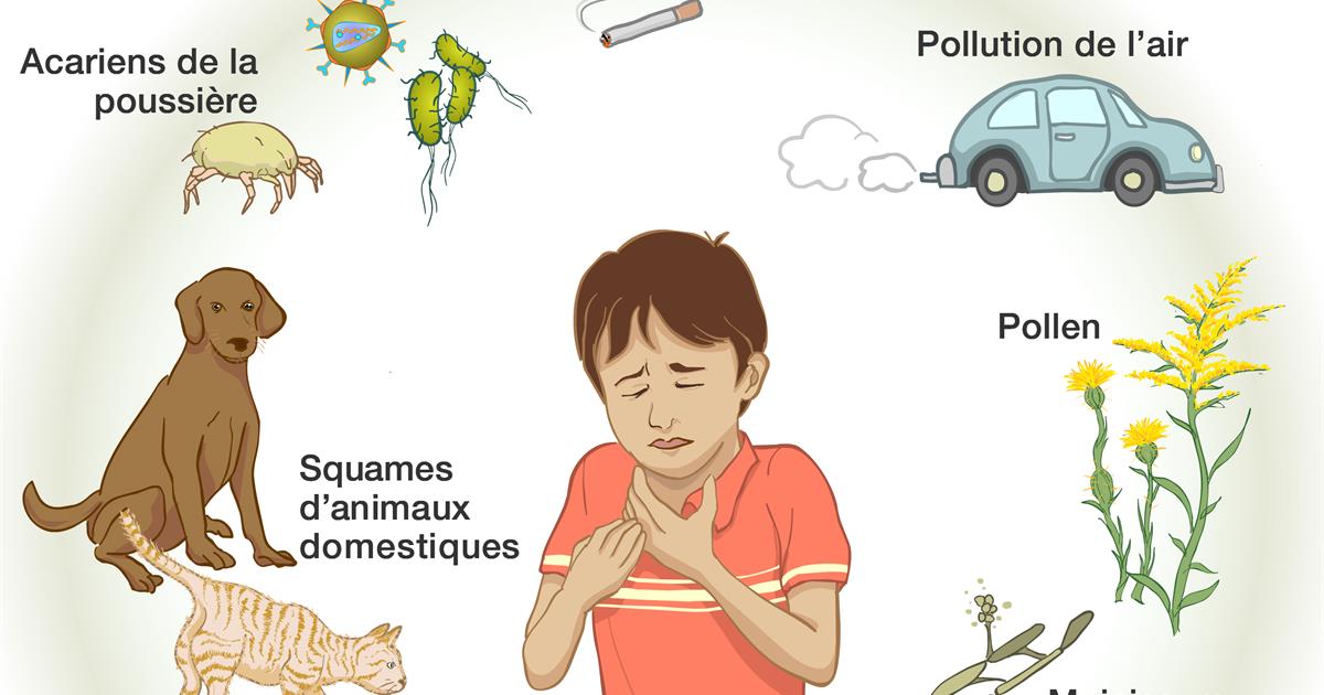 allergènes d'asthme
