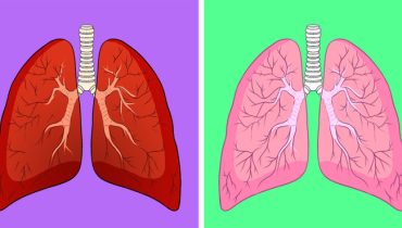 8 choses à faire pour nettoyer vos poumons naturellement