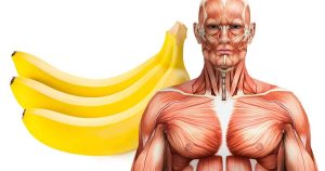 Qu’arrive-t-il à votre corps si vous mangez 2 bananes tous les jours ?