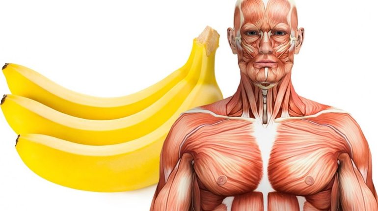 Qu’arrive-t-il à votre corps si vous mangez 2 bananes tous les jours ? 400 bananes Apaiser les ulcères d’estomac apports nutritionnels de deux bananes bananes Diminuer le risque de cancer Diminution du niveau de stress Favoriser la santé des yeux fruit les sucreries Lundi maladies cardiaques mardi Melons et Pastèques mercredi nutritive pamplemousse Pamplemousses passion patates douces peau de banane perdre du poids perte de poids Petites carottes poire Poires pommes poulet prendre du poids pression artérielle normale Produits laitiers protéines raisin rassasié Réduire l'excès de poids Réduire le risque d'anémie regime régime à base d'aliments complets regime alimentaire régime paléo régime paléolithique régions du monde relax samedi santé santé famille santé femme santé France santé mentale santé nutrition santé relax santé relaxe santé sécurité satiété Saumon sport style de vie sucre sucrée test de personnalité tranquillité Un bol de baies Un morceau de fruit Une poignée de noix une vie physiquement active vendredi viande non transformée Viande rouge vitamine D zénitude