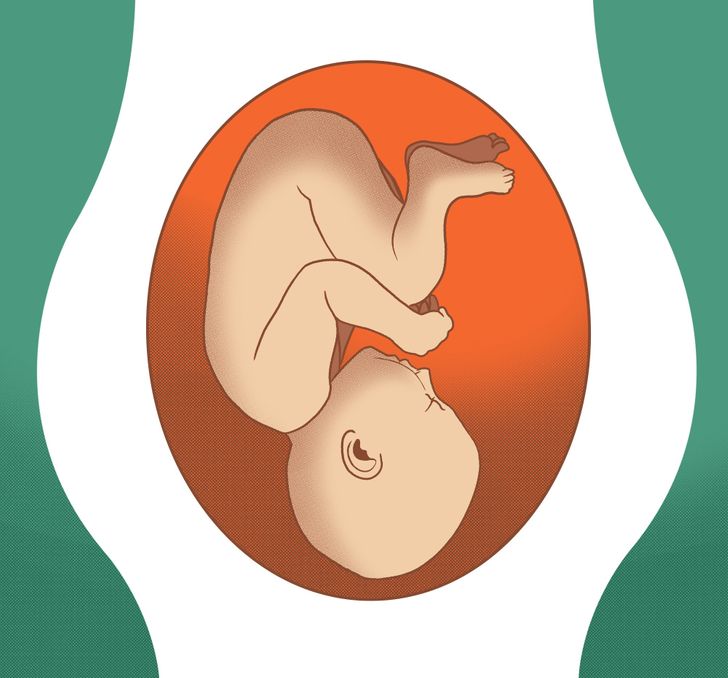 La tête du bébé en bas grossesse