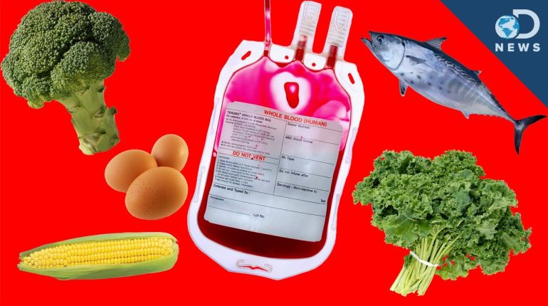 Qu’est-ce que le régime alimentaire en fonction du groupe sanguin et est-ce que ça marche ? autres groupes sanguins Blood-Groups caractéristiques décisives diet distincts empathiques Etats-Unis groupe A Groupe sanguin 0 Groupe sanguin A Groupe sanguin AB Groupe sanguin B groupes sanguins JAPON ketsueki-gata l'histoire La relation entre les traits les croyants de Ketsueki-gata passionnées personnalité Peter D'Adamo regime regime alimentaire sanguin sanguin AB sanguin B tempérament Tokeji Furukawa type A type sanguin O