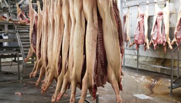 4 raisons pour lesquelles il est préférable d’éviter la viande de porc