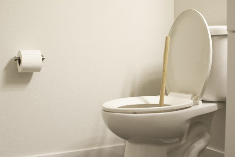 cuvette des toilettes