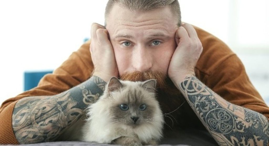 3 révélations sur votre personnalité en tant que propriétaire de chats00 propriétaire chat vs chien