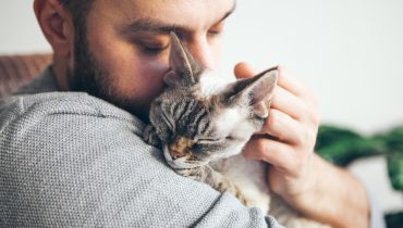 4 facteurs qui font que les chats préfèrent certaines personnes à d’autres