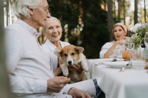 Les 8 meilleures races de chiens pour les personnes âgées