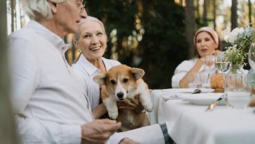 des races de chiens les plus adaptées aux personnes âgées
