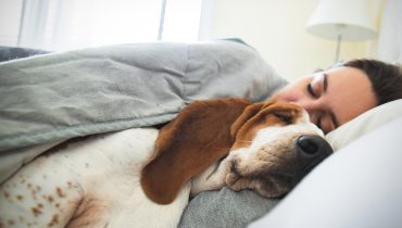 3 raisons pour lesquelles les femmes dorment mieux aux côtés d’un chien que d’un humain, selon une étude