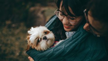 6 questions à se poser avant de choisir la bonne race de chien qui vous convient 17 6 questions à se poser avant de choisir la bonne race de chien qui vous convient un chien