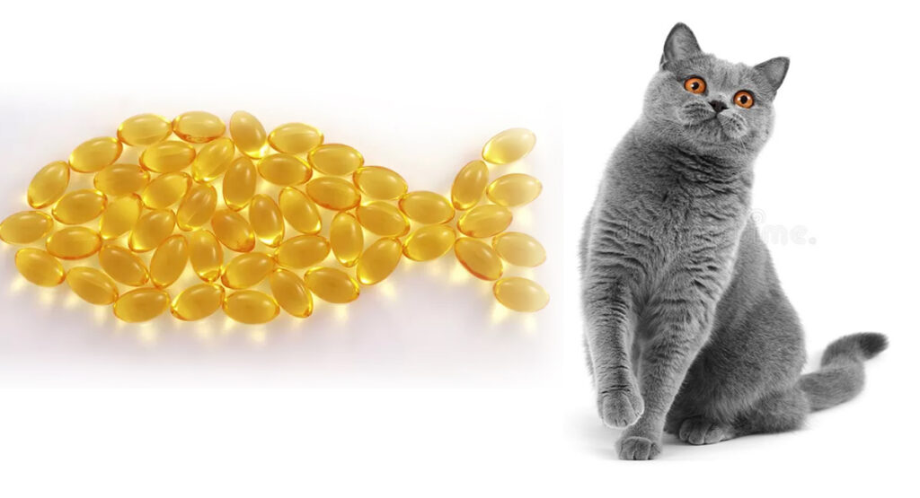 5 avantages des oméga 3 pour la santé des chats