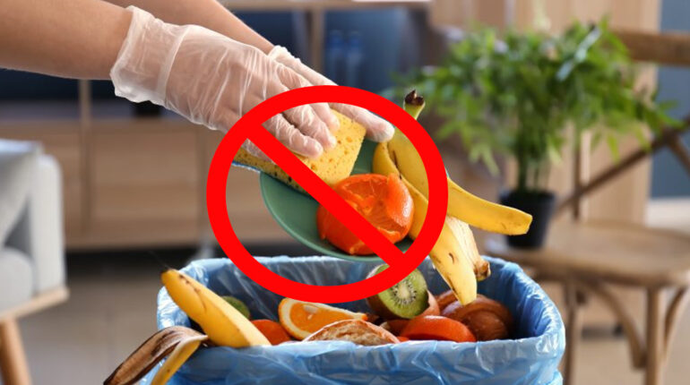 10 conseils pour éviter le gaspillage alimentaire alimentaire aliments Avocat banane bénéfique bonne calcium cardioprotecteurs carottes changement climatique. chocolat-avocat chou Choux classique coeur collation conseils coquilles courges courgette courgettes croustillante d'avocat d'économiser d'œuf déchets délicieuse écorces émissions de gaz environnemental épluchures favori feuilles fleur fleurs Fraises gaspillage impact italien jeter l'argent L’oignon Les coquilles d'œuf Les écorces de pastèque maison minéraux minimiser Mixez neuroprotectrices nutriments Pastèque pâte peau peaux pelures purée réalité repas saine savoureuse servir smoothie solution tiges valoriser