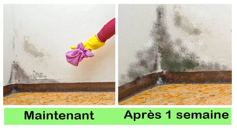 Contrôlez régulièrement la présence de moisissures dans les zones que vous ne fréquentez pas habituellement.