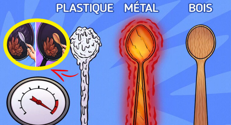 cuillères bois vs plastique