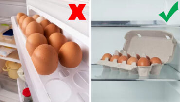 Installez les oeufs a linterieur du refrigerateur 7 erreurs courantes et ce que nous devrions plutôt faire