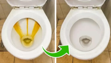 Voici une recette de 30 secondes pour que votre salle de bains soit d'une propreté étincelante 1 Voici une recette de 30 secondes pour que votre salle de bains soit d'une propreté étincelante 5 déodorants naturels efficaces pour éliminer les odeurs des aisselles