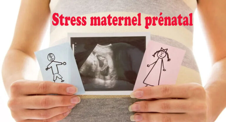 Le stress pendant la grossesse