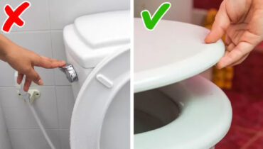 9 habitudes que vous devriez cesser de faire et qui sont considérées comme normales 9 9 habitudes que vous devriez cesser de faire et qui sont considérées comme normales Tirer la chasse deau avec une lunette de WC non couverte 1 9 habitudes que vous devriez cesser de faire et qui sont considérées comme normales graines de fenugrec