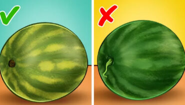 10 conseils pour bien choisir ses fruits et légumes frais